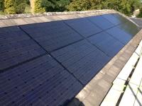 Full Black in Landscape